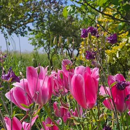 Ferienappartment Nordseenixe Appartamento Norden