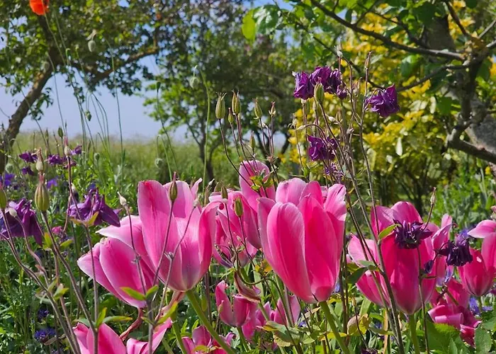 Ferienappartment Nordseenixe Lejlighed Norden